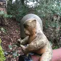 那谷寺の写真_183482