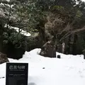 那谷寺の写真_183485