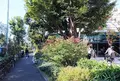 代官山 蔦屋書店(TSUTAYA)の写真_184080