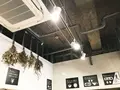 tiny peace kitchenの写真_184264