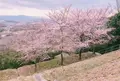 関西大学 高槻キャンパスの写真_184441