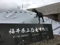 福井県立恐竜博物館の写真_184487