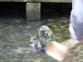 熱田神宮の写真_184533