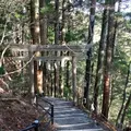 玉置神社の写真_184777