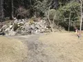 霧島神宮の写真_184800