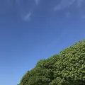 カイジ浜の写真_184898