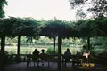 井の頭自然文化園の写真_185017