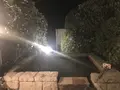 片瀬館ひいなの写真_185023