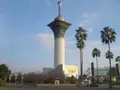 花博記念公園鶴見緑地の写真_185165