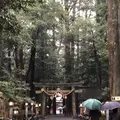 椿大神社の写真_185235