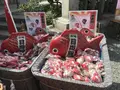 森戸神社の写真_185933