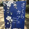東京国立博物館の写真_185964