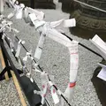 上野東照宮の写真_185968