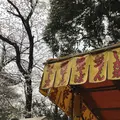 上野東照宮の写真_185969