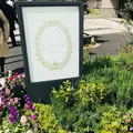 【閉業】ラデュレ（Ladurée） 青山の写真_186085