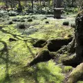 六義園の写真_186425
