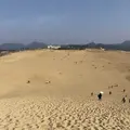 鳥取砂丘の写真_186571