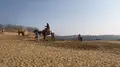 鳥取砂丘の写真_186572