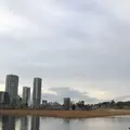 不忍池の写真_186626