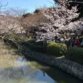 鶴岡八幡宮の写真_186656