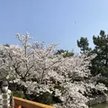九華公園(桑名城趾)の写真_186750