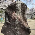 九華公園(桑名城趾)の写真_186751