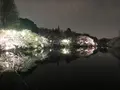 井の頭恩賜公園の写真_186958