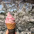 井の頭恩賜公園の写真_186973