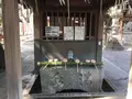 高牟神社の写真_187216