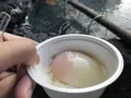 草津ガラス蔵の写真_187228