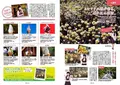 ミツマタの里の写真_187282