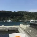 波浮港の写真_187396