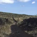 三原山の写真_187420