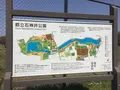 石神井公園の写真_187443