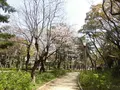 靱公園の写真_187560