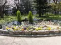 靱公園の写真_187561
