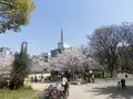 靱公園の写真_187562
