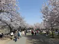 大阪城公園の写真_187565