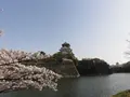 大阪城公園の写真_187567