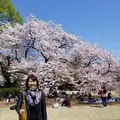 新宿御苑の写真_187583