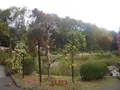 城北公園の写真_187739