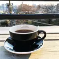 Saturdays Surf NYC 代官山店の写真_188061