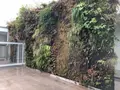 金沢21世紀美術館の写真_188064