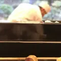 弁慶の写真_188072
