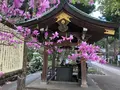 高麗神社の写真_188090