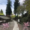 高麗神社の写真_188093