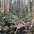宿谷の滝の写真_188105