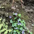 宿谷の滝の写真_188107