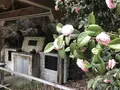 鎌北湖の写真_188112