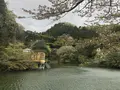 鎌北湖の写真_188116